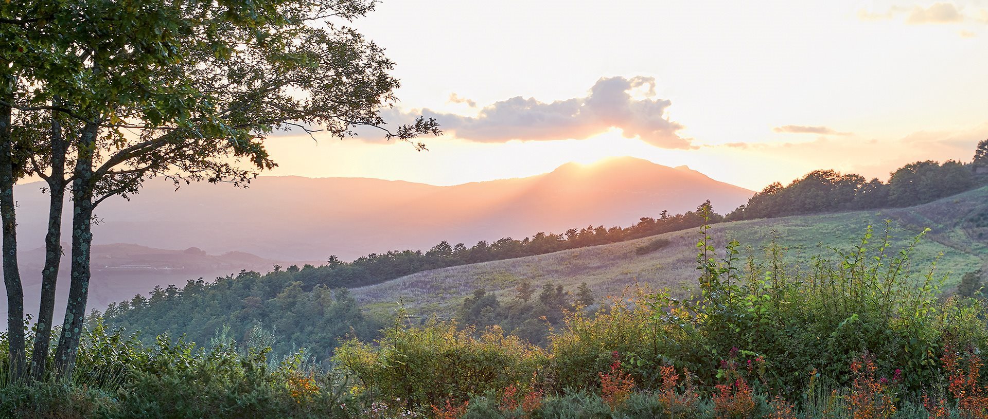 Bonacina_toscana_banner_tappa(0)