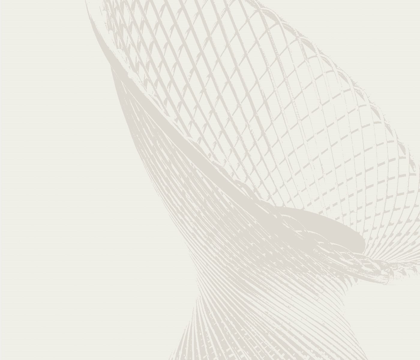 box_collection_iconic-contemporanei_home_virata